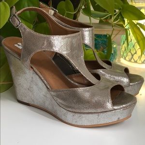BP Silver Wedges